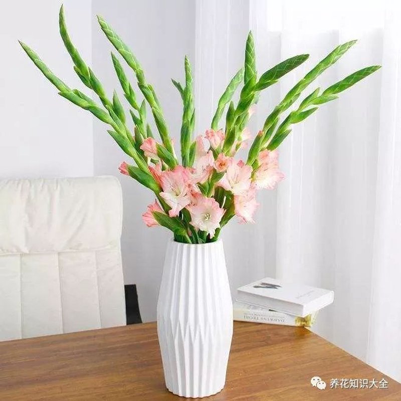 花艺设计：打造自然与艺术的完美结合