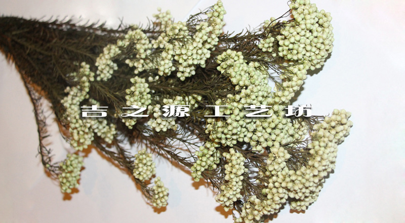 如何打造独一无二的花束？——故事叙述篇
